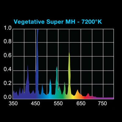 Ampoule 600W MH Veg-conversion