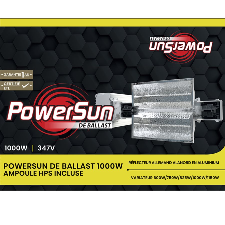 Ensemble ballast 1000W 347V + amp.HPS