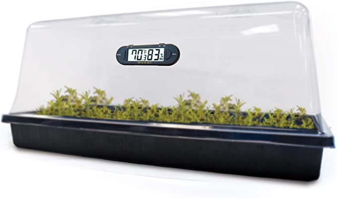 Thermo-Hygromètre pour mini serre