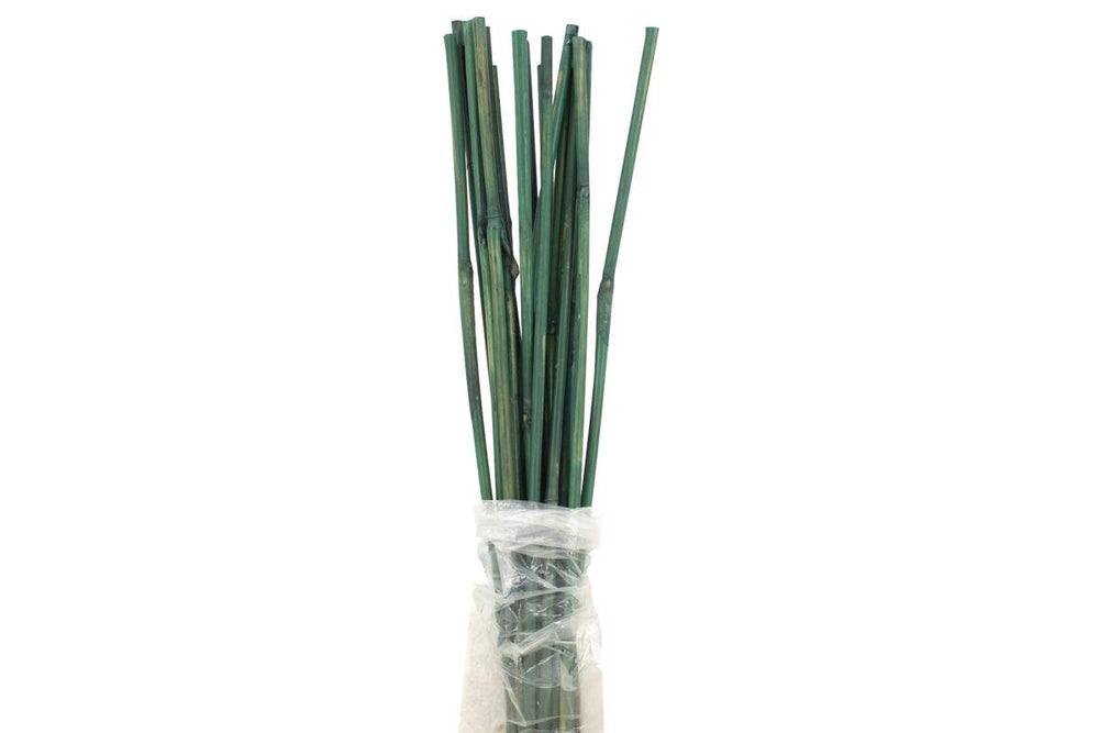 Tuteur de bamboo 4' teint vert (20/pqt)