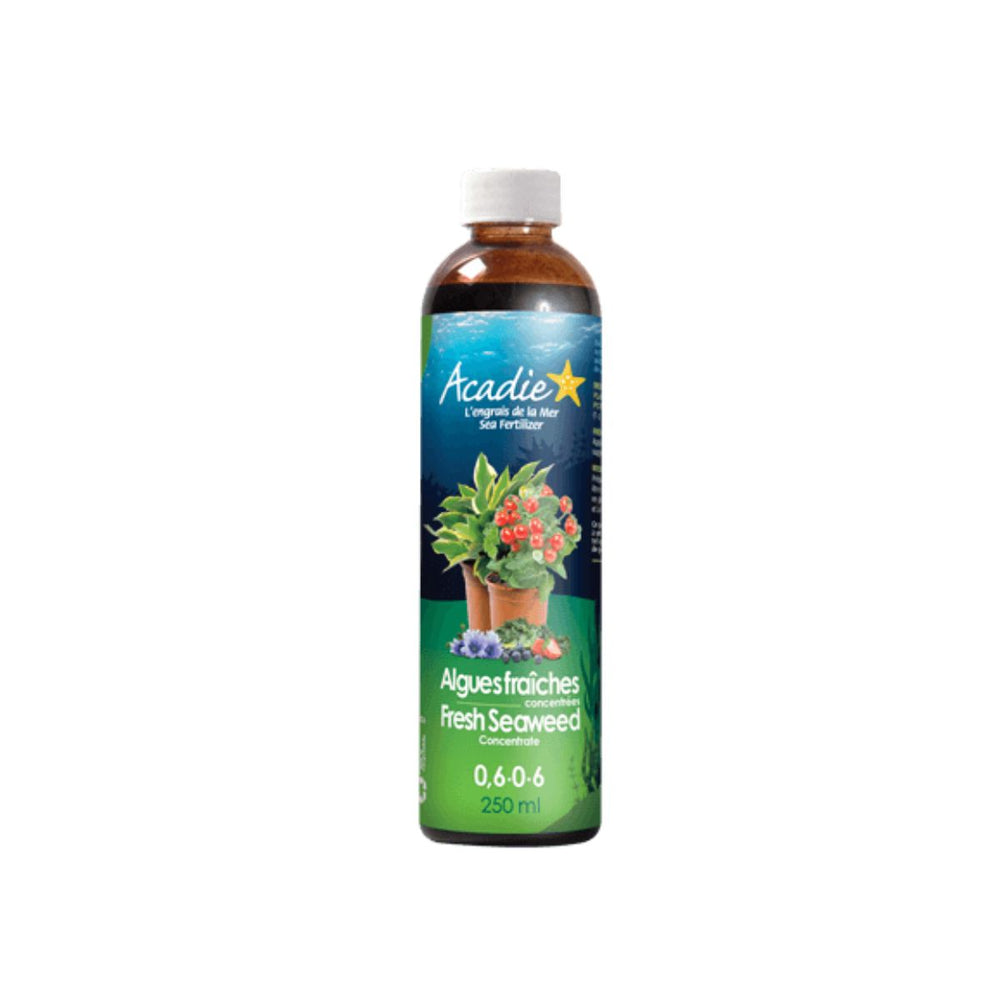 Algue marine 250ml