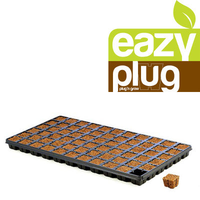Easy Plug 66