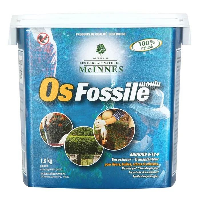 Os Fossile 1.8 Kg