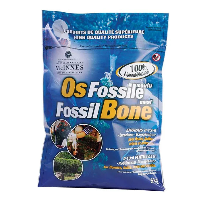 Os fossile 5 kg