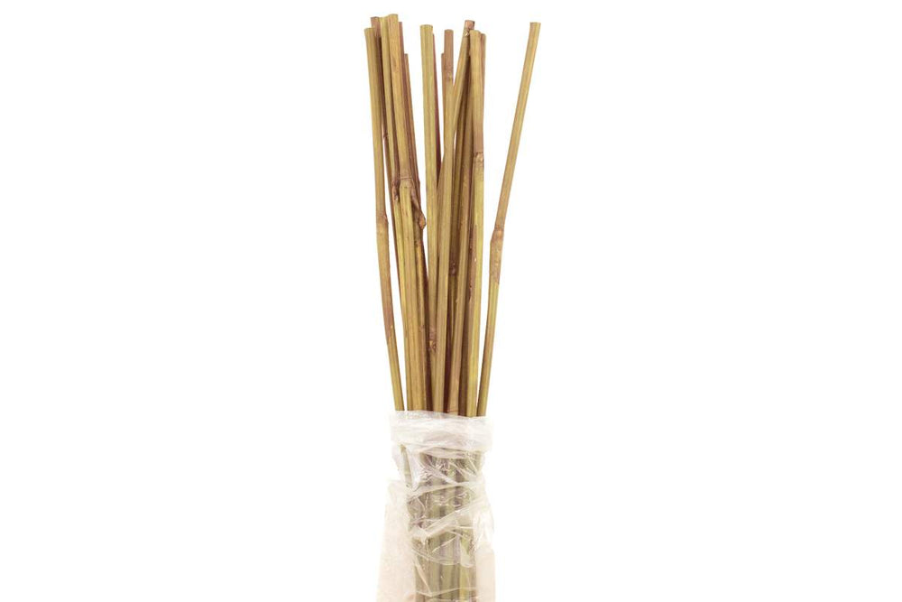 Tuteur de bamboo 4' naturel (20/pqt)